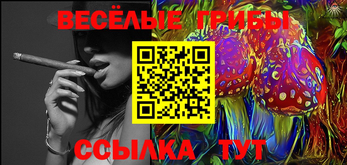 Псилоцибиновые грибы мухоморы  Вход с VPN  Галлюциногенные грибы Psilocybe  Грозный 