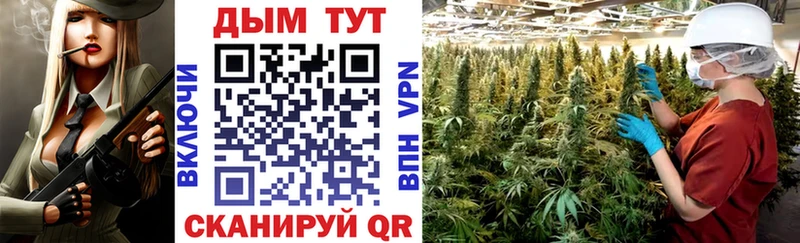 Бошки Шишки OG Kush где можно купить наркотик Грозный